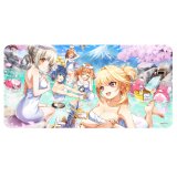 白猫TCG in 秩父「ガンスリンガーバトル」限定 プレイマット(ルウシェ・トワ・セツナ・シエラ・ルミエ・星たぬき)