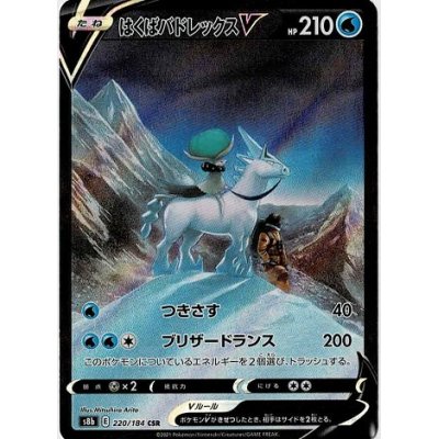 画像1: 【s8b】はくばバドレックスV【CSR】