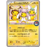 【エクストラ】ポンチョを着たピカチュウ【P】