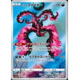 【s12a】ガラルファイヤー【AR】