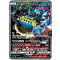 【SM4+】アクジキングGX【RR】