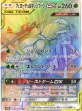 【SM9b】フェローチェ＆マッシブーンGX【HR】