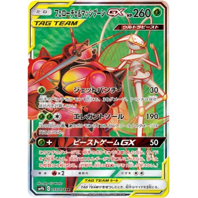 画像1: 【SM9b】フェローチェ＆マッシブーンGX【SR】