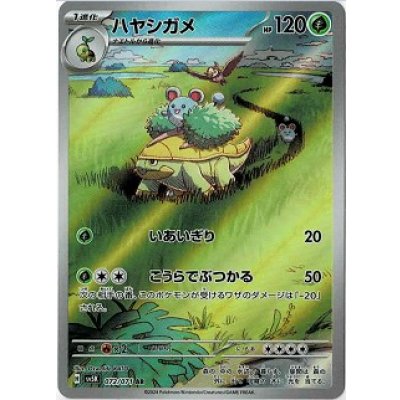 画像1: 【sv5K】ハヤシガメ【AR】