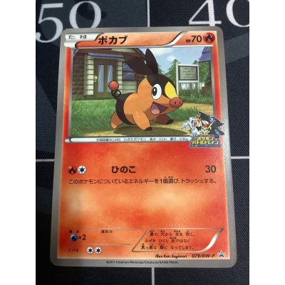 画像1: ポカブ　JR北海道ポケモン調査隊2011　バトルトレイン