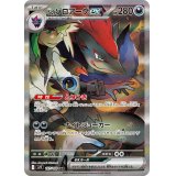 【sv9】Nのゾロアークex【SAR】