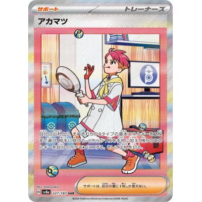 画像1: 【sv8a】アカマツ【SAR】