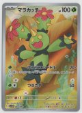 【sv11B】マラカッチ【AR】
