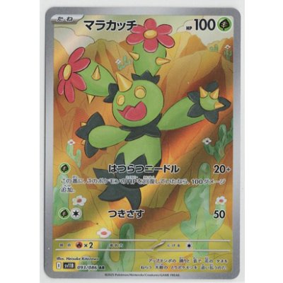 画像1: 【sv11B】マラカッチ【AR】