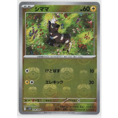 画像1: 【sv11W】シママ【C】【マスターボールミラー】