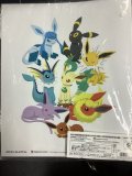 コレクションファイル イーブイコレクション 未開封