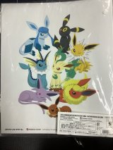 コレクションファイル イーブイコレクション 未開封