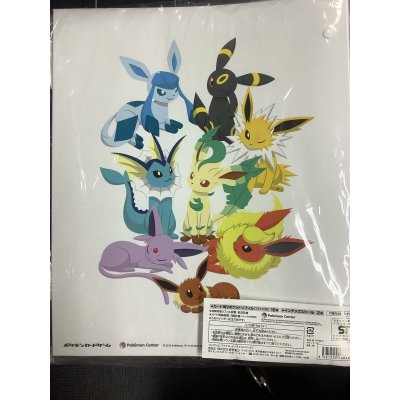 画像1: コレクションファイル イーブイコレクション 未開封