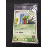 キモリ  ポケモンセンターヨコハマオープン記念