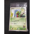 キモリ  ポケモンセンターヨコハマオープン記念 未開封