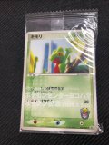 キモリ  ポケモンセンターヨコハマオープン記念 未開封