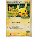 ポケパークのピカチュウ 「ポケパーク＜ピカチュウの森＞」アトラクションカード 　未開封