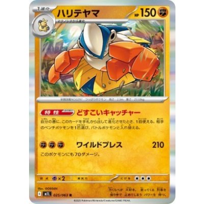 画像1: 【M1L】ハリテヤマ【R】