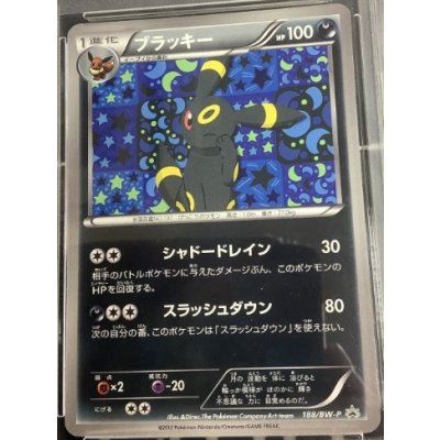 画像1: ブラッキー　 「コレクションファイル イーブイコレクション」スペシャルカード