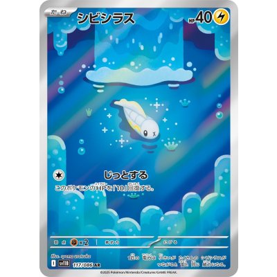 画像1: 【sv11B】シビシラス【AR】