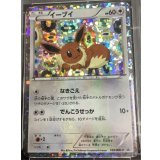 イーブイ　「コレクションファイル イーブイコレクション」スペシャルカード