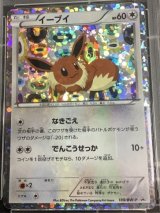 イーブイ　「コレクションファイル イーブイコレクション」スペシャルカード