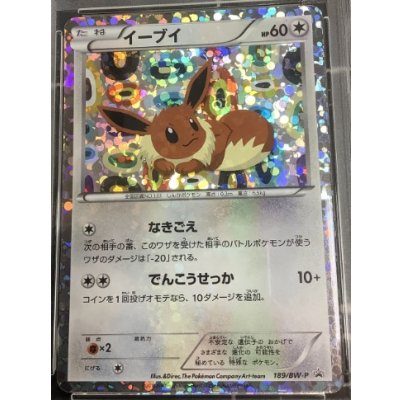 画像1: イーブイ　「コレクションファイル イーブイコレクション」スペシャルカード
