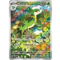 【sv11B】ジャノビー【AR】