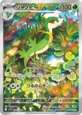 【sv11B】ジャノビー【AR】