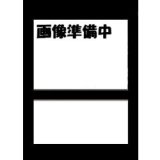 レッドアイズ・ブラックドラゴン (NIKEコラボ版）　未開封  (真紅眼の黒竜)