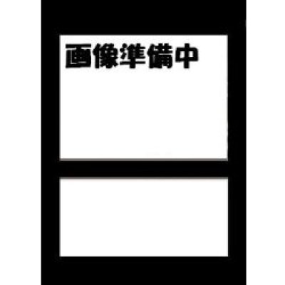画像1: レッドアイズ・ブラックドラゴン (NIKEコラボ版）　未開封
