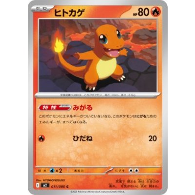 画像1: 【M2】ヒトカゲ【C】