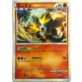 エンテイ　「ポケモンカードゲーム　色ちがいのポケモンプレゼント」キャンペーン