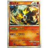 エンテイ　「ポケモンカードゲーム　色ちがいのポケモンプレゼント」キャンペーン