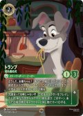 トランプ-切れ者の犬【エンチャンテッド】