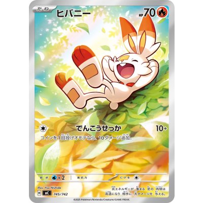 画像1: 【MC】ヒバニ―【AR仕様】