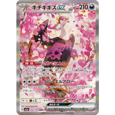 画像1: 【M2a】キチキギスex【SAR】