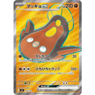 画像1: 【MC】マッギョex【SR仕様】