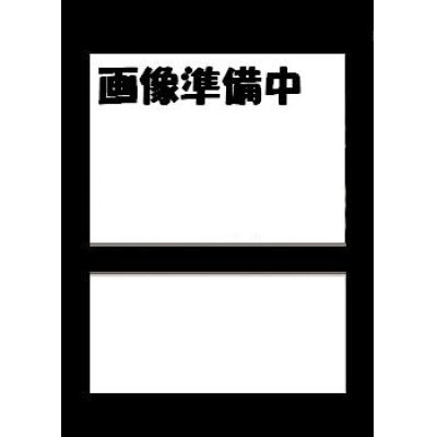 画像1: オフィシャルプレイマット＆カードセット Limited Edition 01【未開封】
