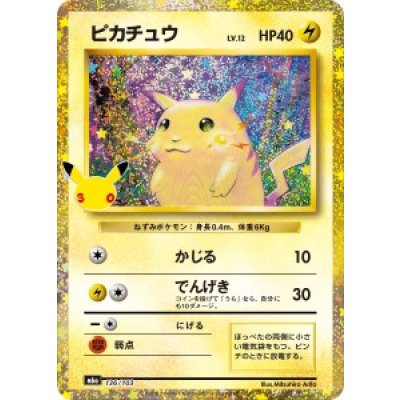 画像1: 【M6a】ピカチュウ【-】