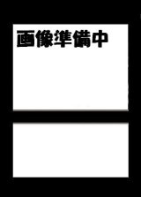 おしゃれを楽しむリーリエ(当選書付き) 5000枚限定 プレイマット