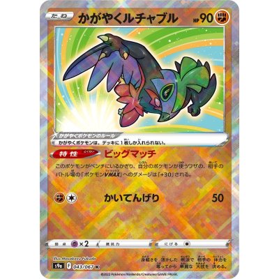 画像1: 【s9a】かがやくルチャブル【K】