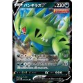 【S5I】バンギラスV【RR】