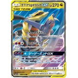 【SM12a】ガブリアス&ギラティナGX【RR 】