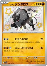画像: 【sv4a】パルデアケンタロス（闘）【S】