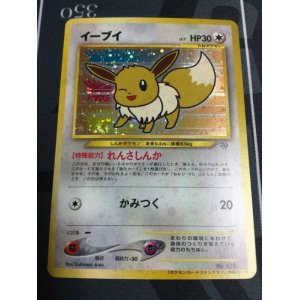 画像: イーブイ(ポケモンカードファンクラブ)  「ポケモンカードファンクラブ」特製カード