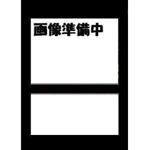 画像: クレイテストチャンピオン認定証 カード  (ムシキング)