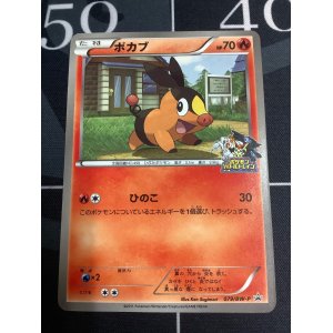 画像: ポカブ　JR北海道ポケモン調査隊2011　バトルトレイン