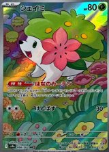 画像: 【sv9a】シェイミ【AR】