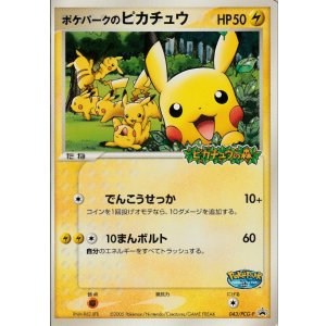 画像: ポケパークのピカチュウ 「ポケパーク＜ピカチュウの森＞」アトラクションカード 　未開封